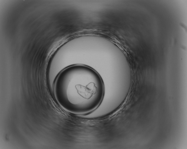 X0000091890293200709051050