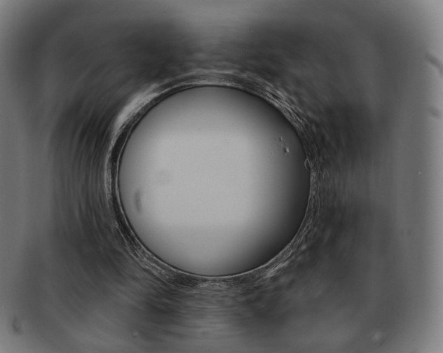 X0000091890294200709051050