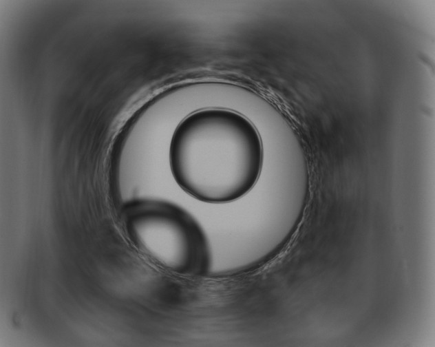 X0000091890295200709051050