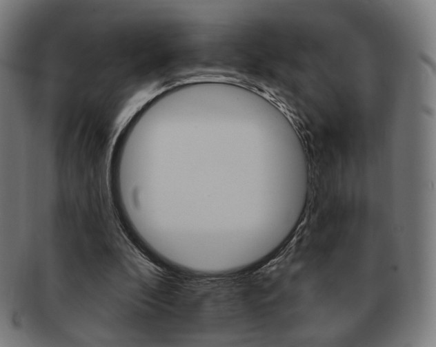 X0000091890296200709051050