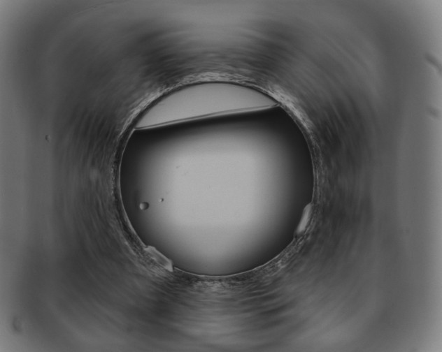 X0000091890297200709051050
