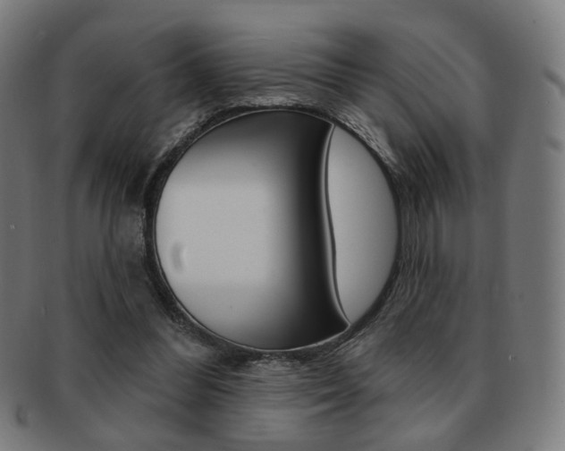 X0000091890300200709051049