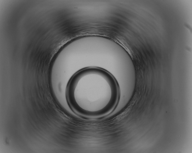 X0000091890301200709051049