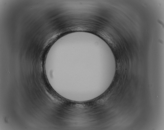 X0000091890302200709051049
