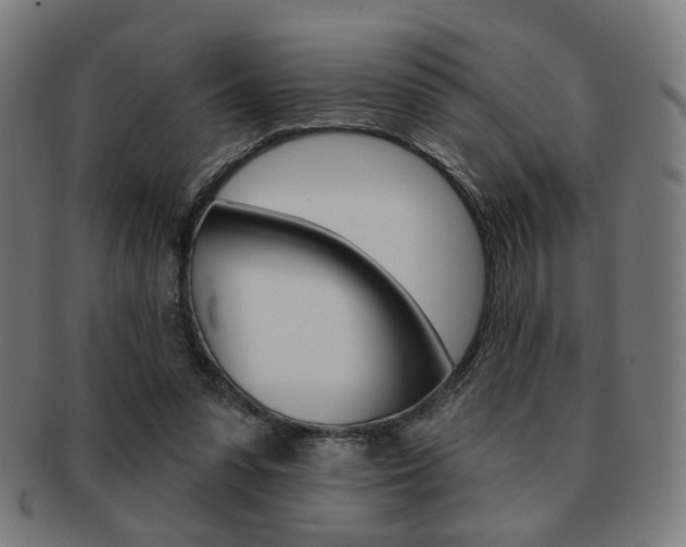 X0000091890303200709051049