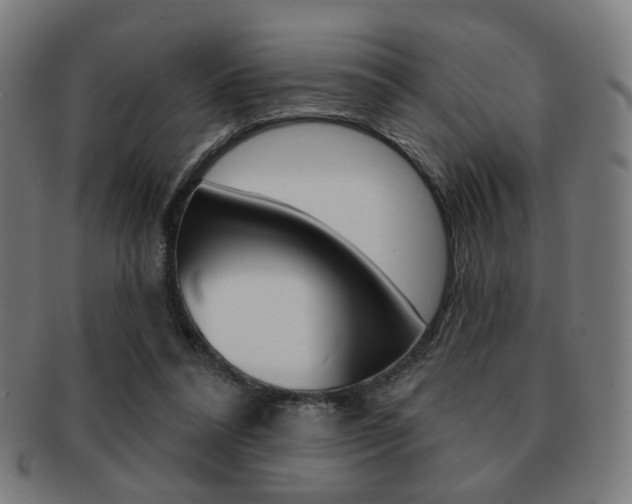 X0000091890304200709051049