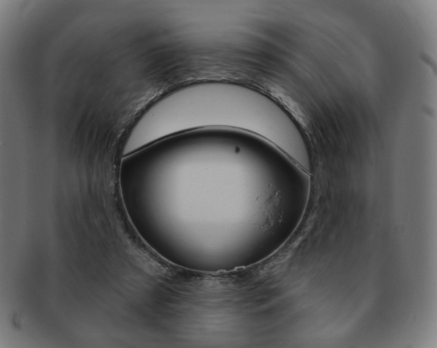 X0000091890305200709051049