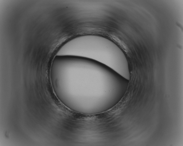 X0000091890306200709051049
