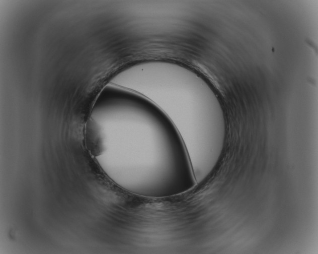 X0000091890307200709051049