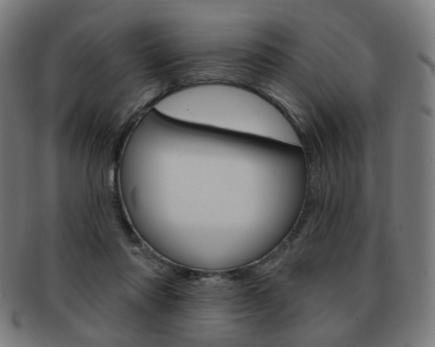 X0000091890310200709051049