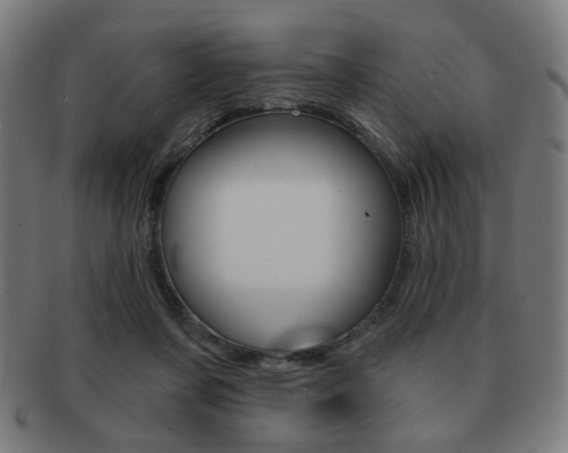 X0000091890311200709051049