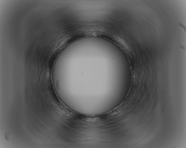X0000091890314200709051049