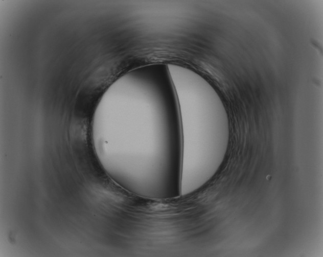 X0000091890315200709051049