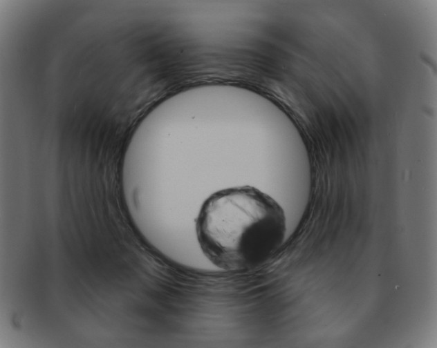 X0000091890317200709051049