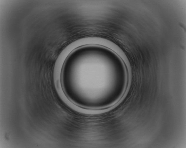 X0000091890319200709051049