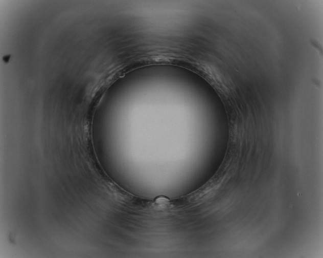 X0000091890321200709051049