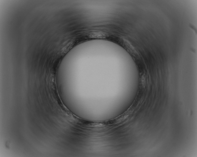 X0000091890322200709051049