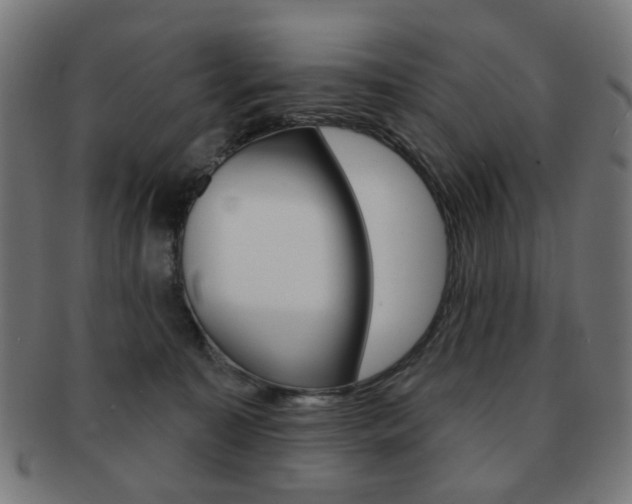 X0000091890323200709051049