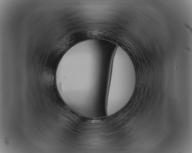 X0000091890324200709051049