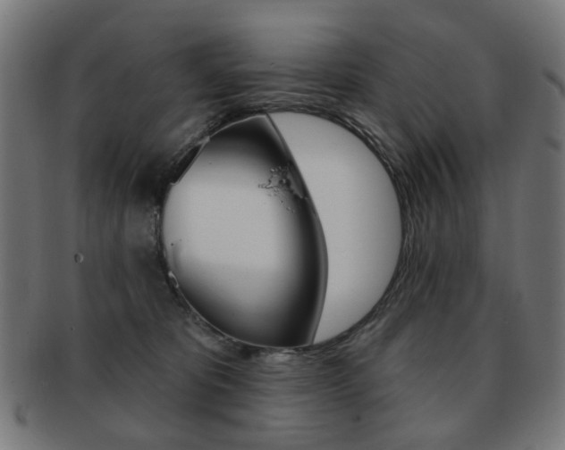 X0000091890325200709051049