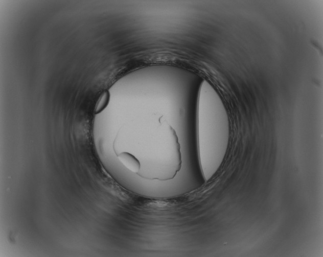 X0000091890326200709051049