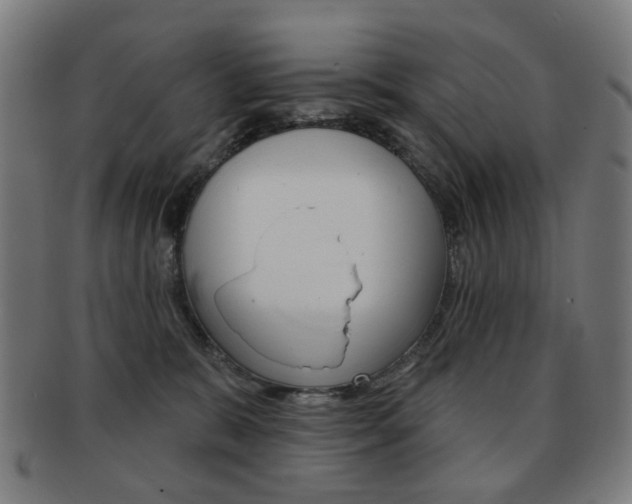 X0000091890327200709051049
