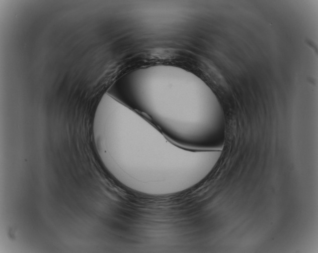 X0000091890328200709051049