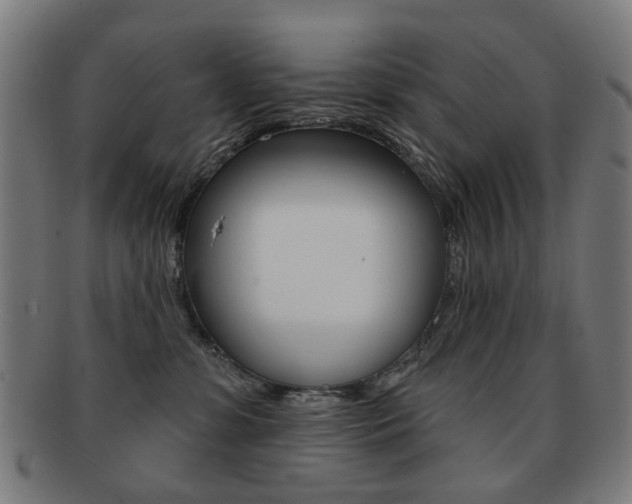 X0000091890331200709051049