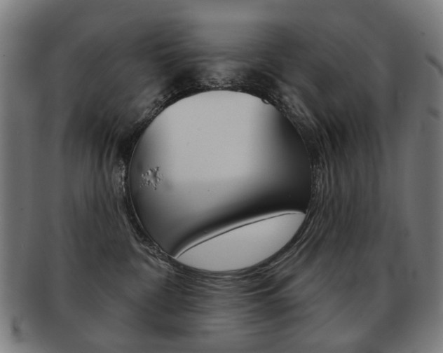 X0000091890332200709051049