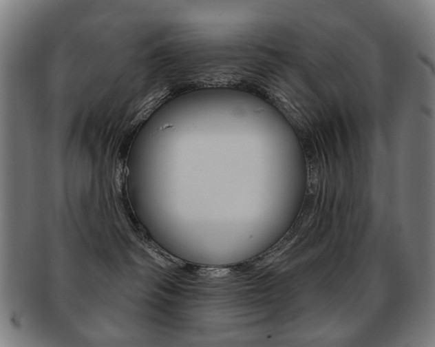 X0000091890334200709051049