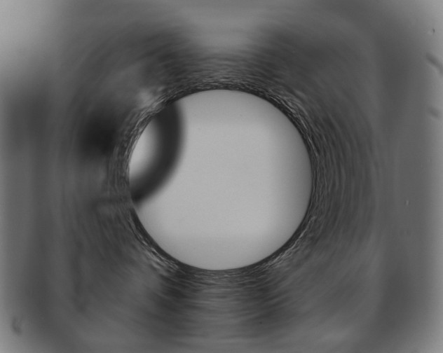 X0000091890336200709051049