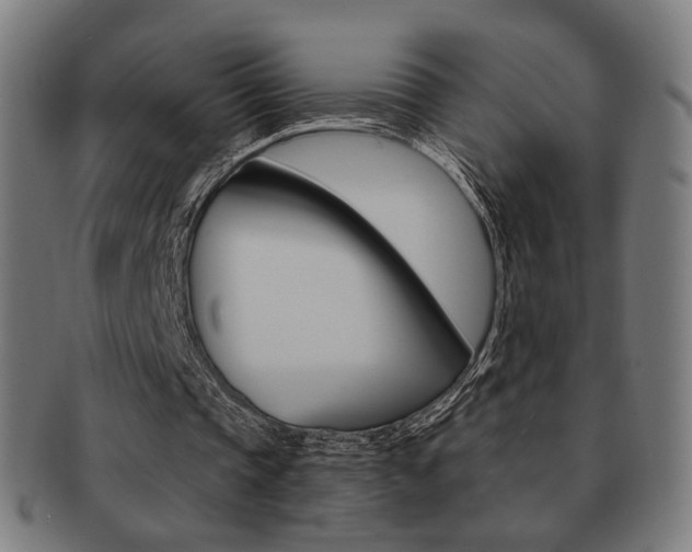 X0000091890337200709051048