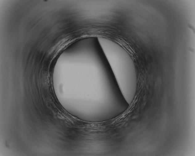 X0000091890338200709051048