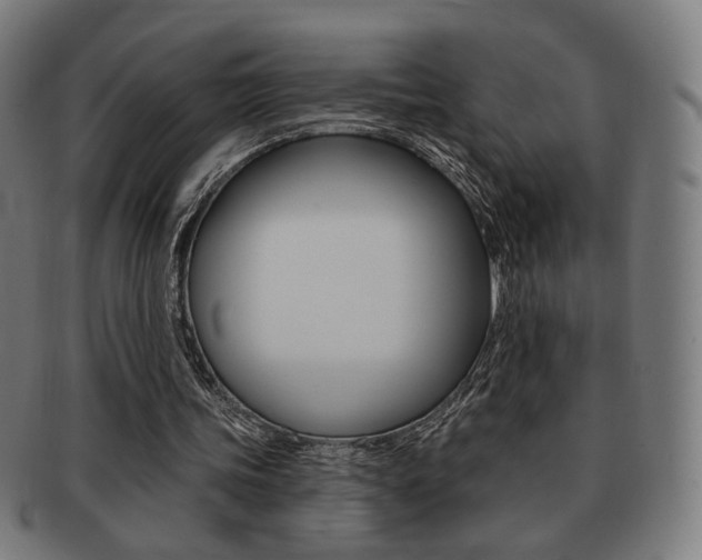 X0000091890339200709051049