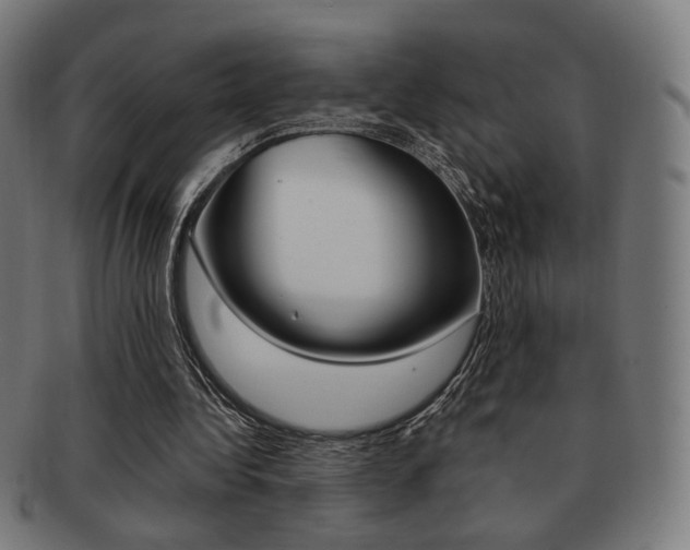 X0000091890340200709051049