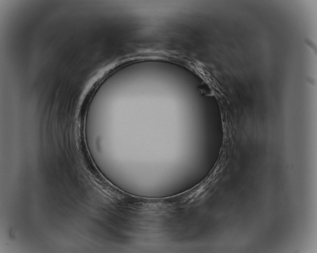 X0000091890342200709051049