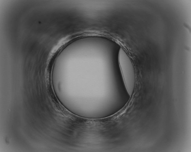 X0000091890343200709051049