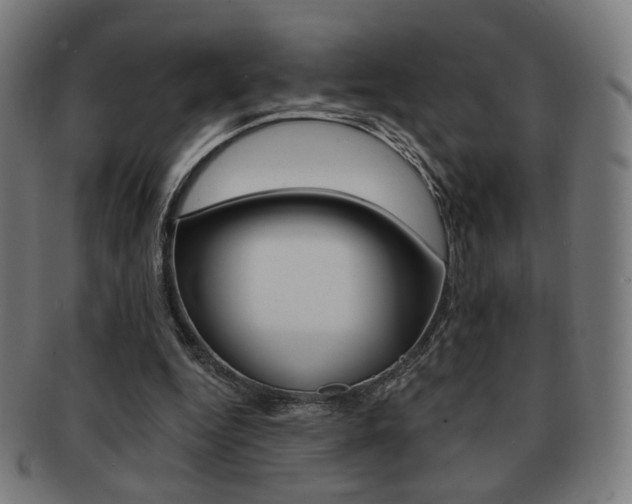 X0000091890344200709051049