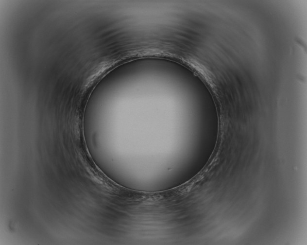 X0000091890345200709051049