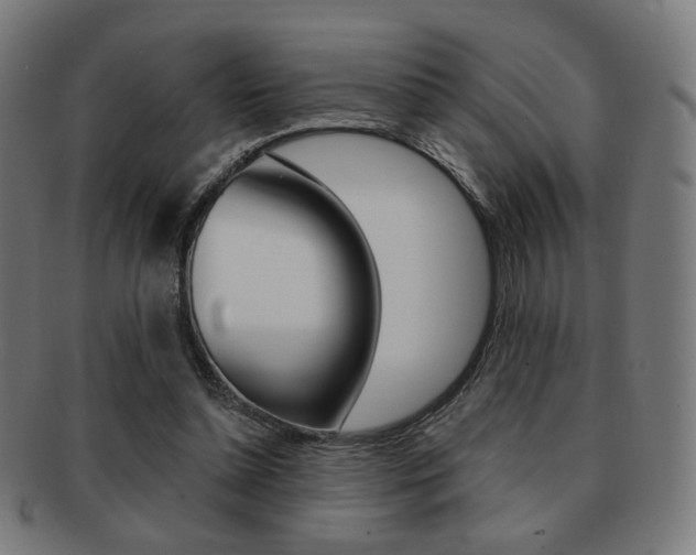 X0000091890348200709051049