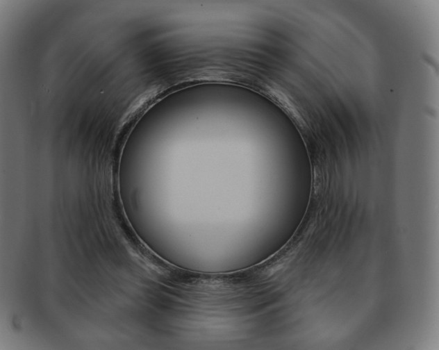 X0000091890349200709051049
