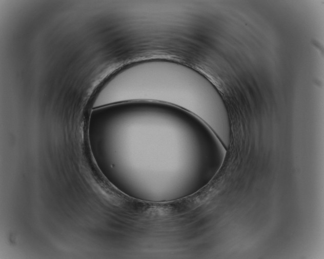 X0000091890350200709051049