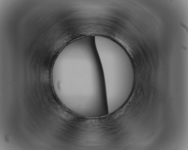 X0000091890353200709051049