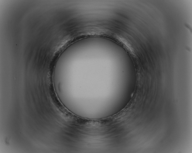 X0000091890354200709051049
