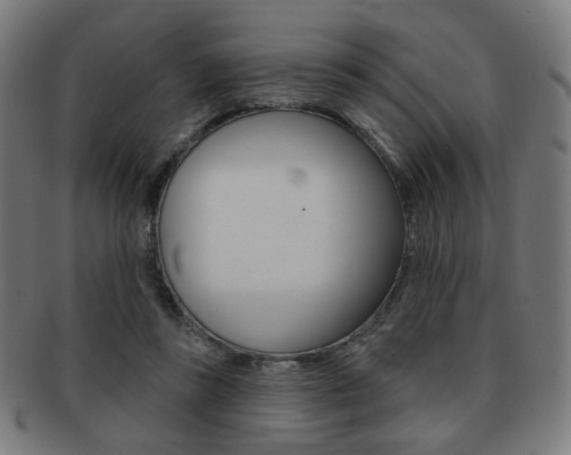 X0000091890355200709051049