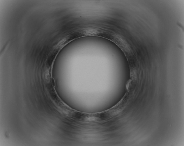X0000091890360200709051049
