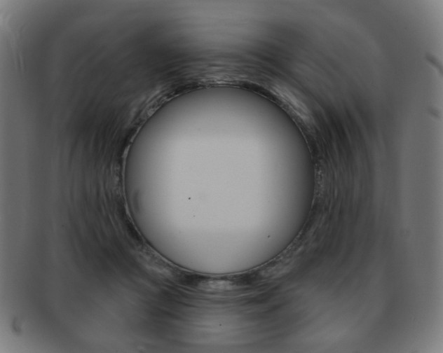 X0000091890361200709051049