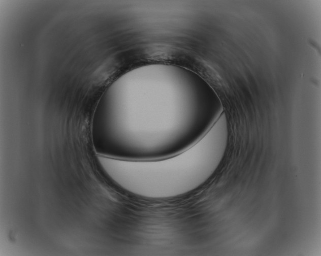 X0000091890364200709051049
