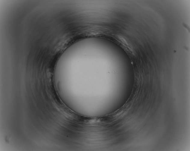 X0000091890366200709051049
