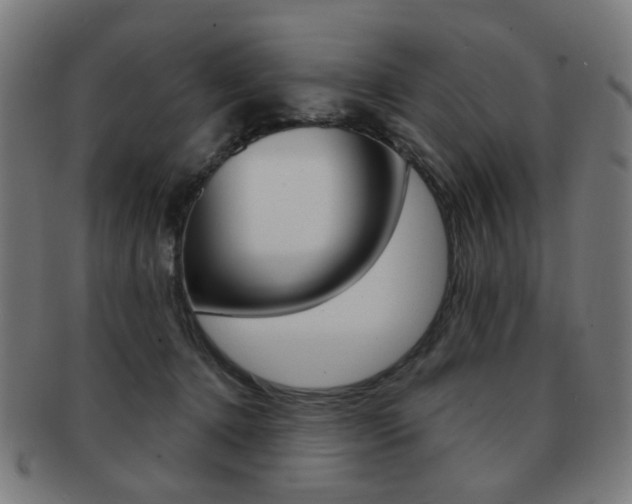 X0000091890368200709051049